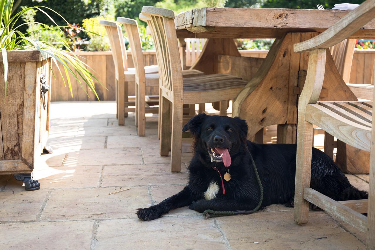 The Dundas Arms Kintbury エクステリア 写真